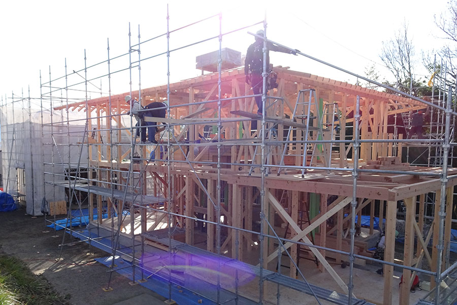 Set up of the timber frame