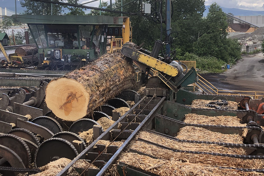 Custom Cutting Yellow Cedar 