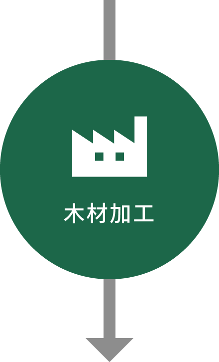 事業領域