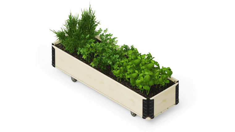 ハーブスボックス